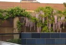 Emu Heights TASrooftop-and-balcony-gardens-1.jpg; ?>